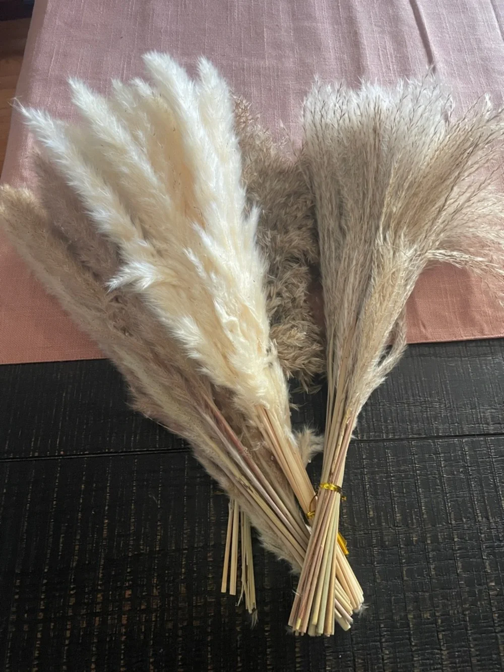 N/A dried pampas